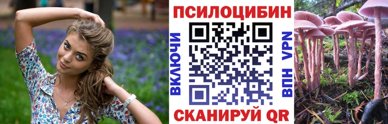Псилоцибиновые грибы прущие грибы гидра как зайти Белорецк